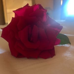 Meet your Posher, Maggie